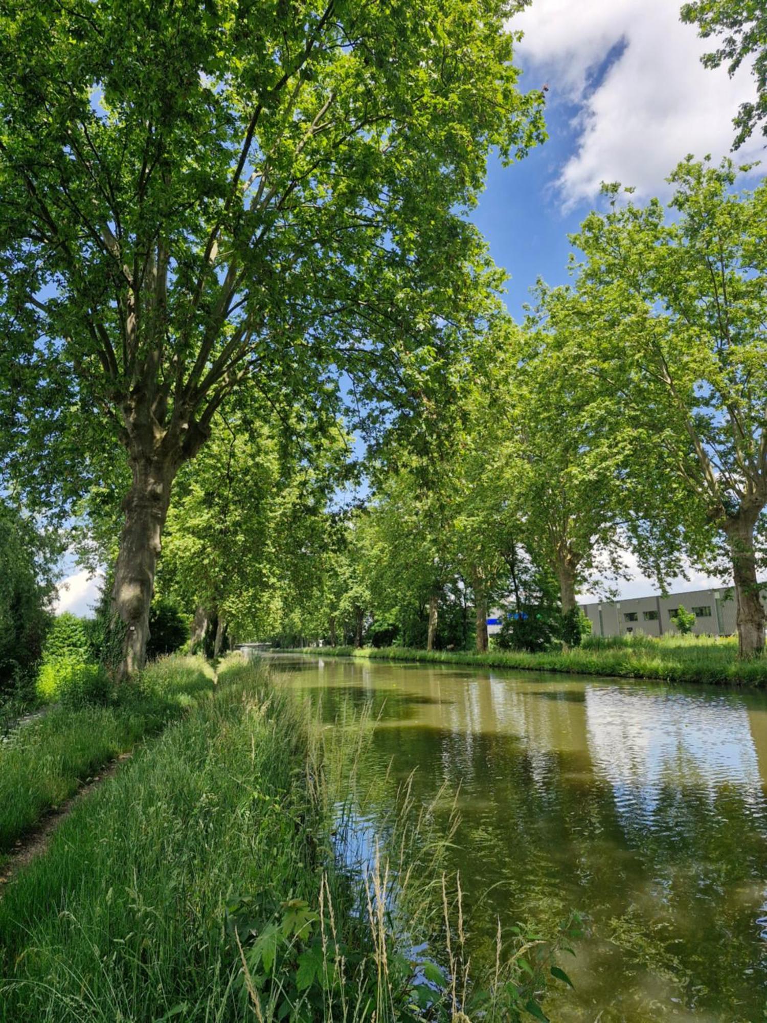 Gite-Appart Com' "Des Cimes Et Jardin" Illkirch-Graffenstaden Eksteriør billede