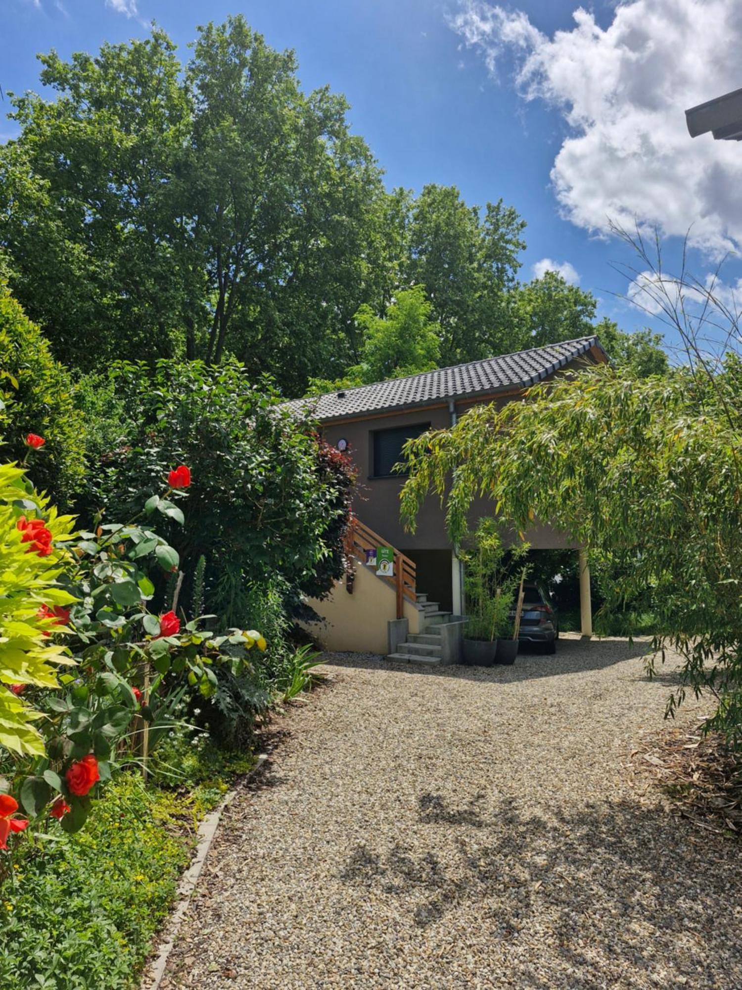 Gite-Appart Com' "Des Cimes Et Jardin" Illkirch-Graffenstaden Eksteriør billede